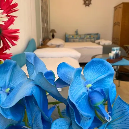 Sunray Guest House, Private & With Lovely Sea View Варна