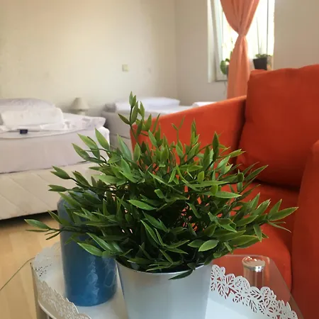Sunray Guest House, Private & With Lovely Sea View 3* Варна